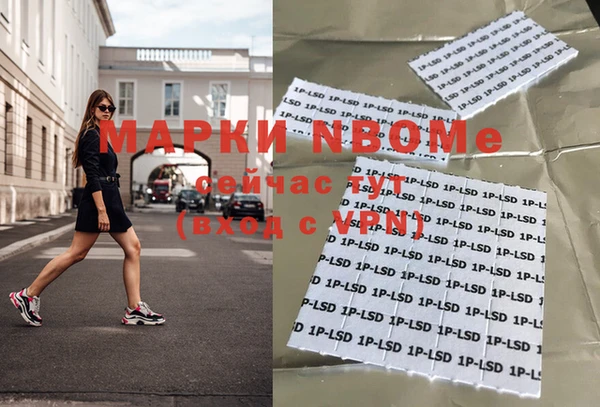 шишки Аркадак