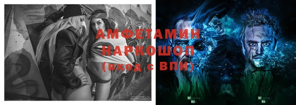 шишки Аркадак