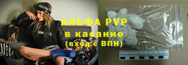 шишки Аркадак