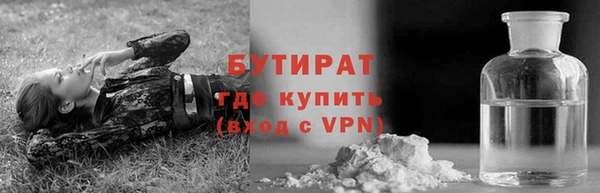 шишки Аркадак