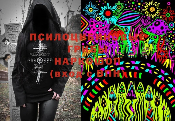 шишки Аркадак