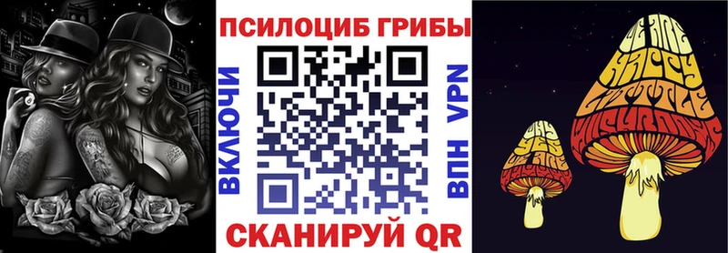 Псилоцибиновые грибы Magic Shrooms где можно купить Венёв