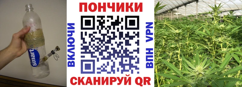 Бошки марихуана тримм  купить наркоту  mega онион  Венёв 